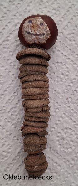 Eichelkappen und Kastanie zusammenkleben