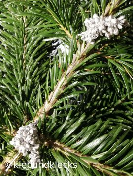 Natur-Weihnachtsschmuck