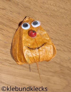 Gesicht auf Lampionfrucht kleben