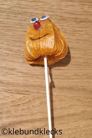 Lampionfrucht auf Holzstab stecken
