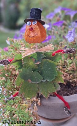 Vogelscheuche aus Lampionfrucht und Blättern