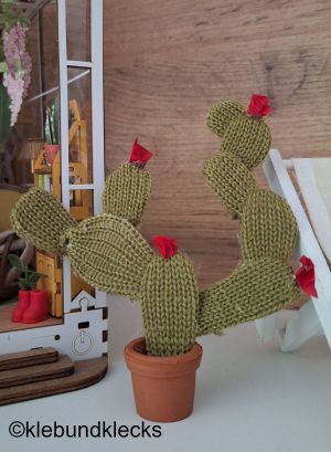 Feigen-Kaktus mit Blüten aus Strickschlauch