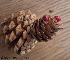 Schnabel aus Zapfenschuppen fixieren